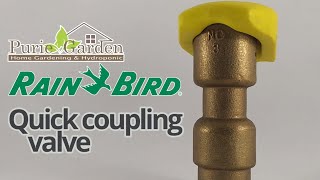 Quick Coupling Valve 5RC 1 Dim - Rain Bird | Puriegarden.com 2019