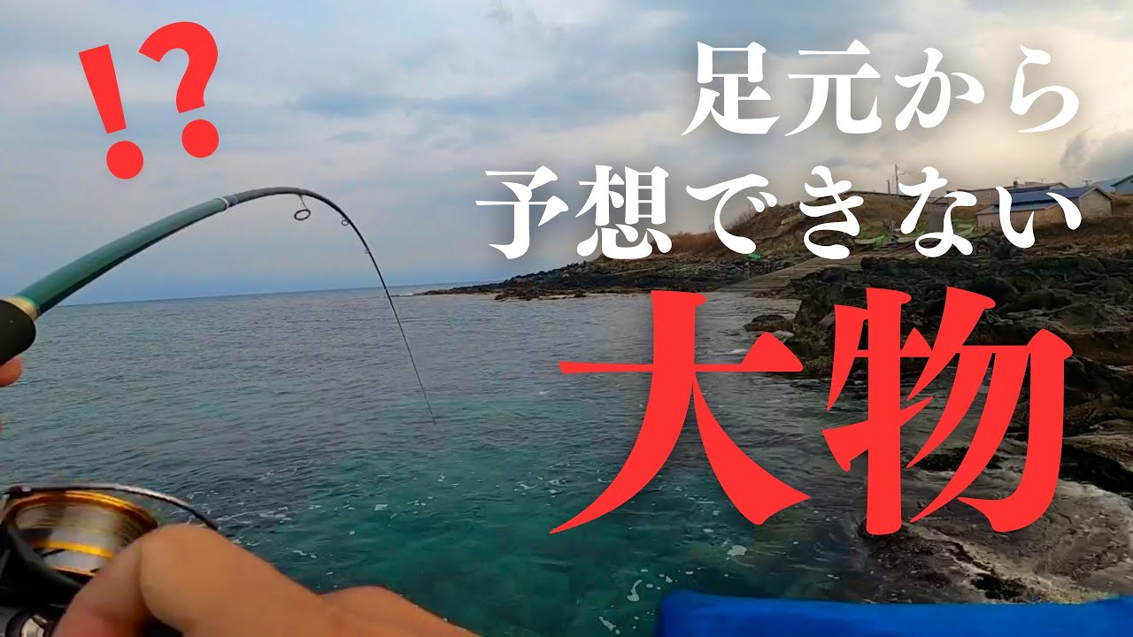 奇跡】ロックフィッシュど素人がとんでもない大物を釣りあげてしまった