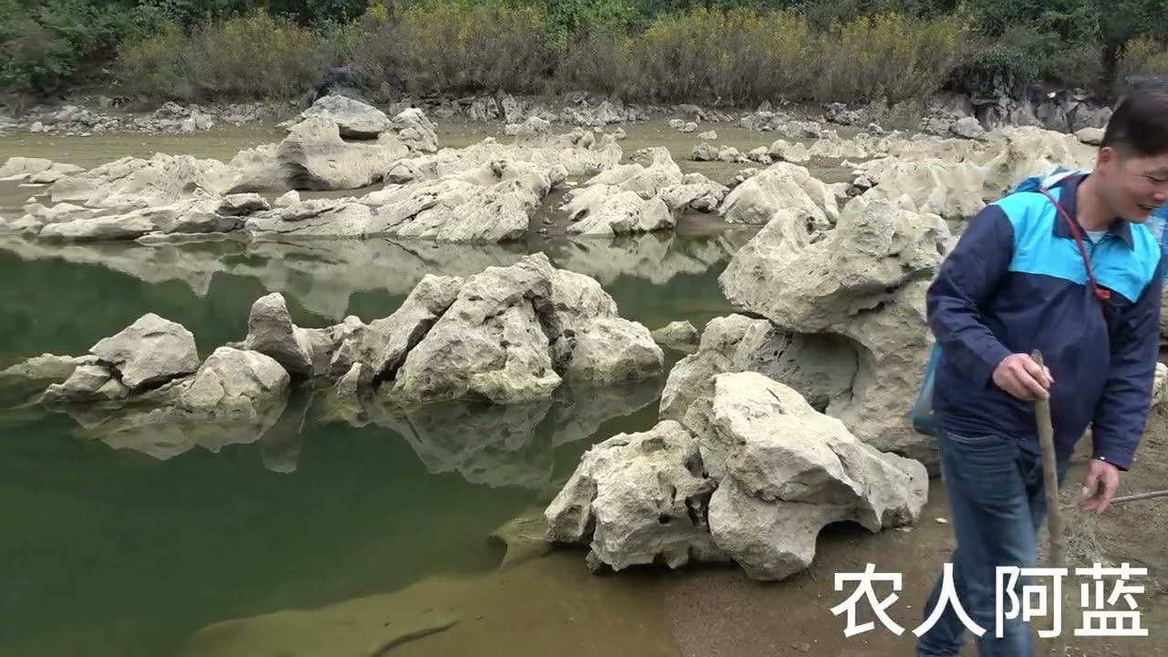 小伙徒步进入深山天池，发现成群的鱼儿游窜在水面，被惊到了