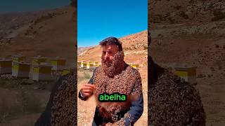 ⚠️ “Foi picado por uma abelha? Faça ISSO imediatamente!” #curiosidades