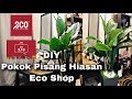 Pokok Pisang Hiasan Viral Eco Shop