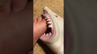 Shark puppet gets a bbl #shark #funny #memes #comedy #plush  #puppet #bbl