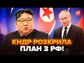 ⚡Кім Чен Ин ШОКУВАВ заявою про ВІЙНУ в Україні! Ось що КНДР терміново перекинула до Росії