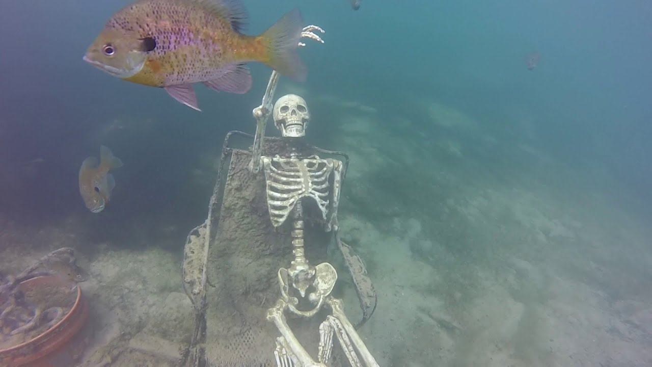 Exploring Gray Quarry, Summer 2019 YouTube