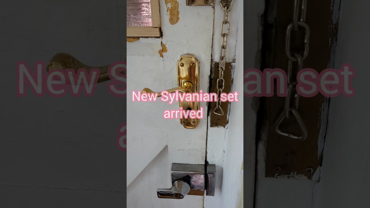 New parcel with Sylvanian Families set arrived