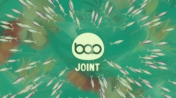 BAO Joint for After Effects