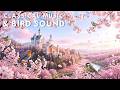 Relaxing Classical Piano Music: Bird Sounds, Relaxation, Healing | Mozart, Chopin, Bach, Vivaldi