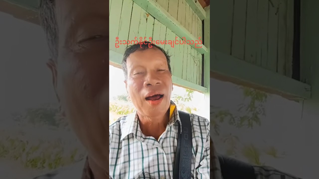 ငါးမင်းဆွေကတော့ မရပ်မနားငြိမ်းချမ်းရေးခရီးဆက်လျှောက်နေပါတယ် 🤗