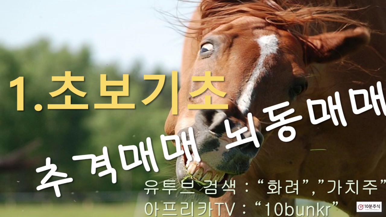 1 초보기초 추격매매 뇌동매매