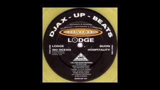 Analogical - Lodge Vinyl