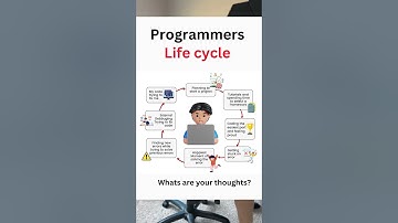 Programmers Life Cycle #programming #coding