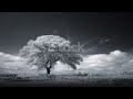 Opeth Burden Capcut Edit 