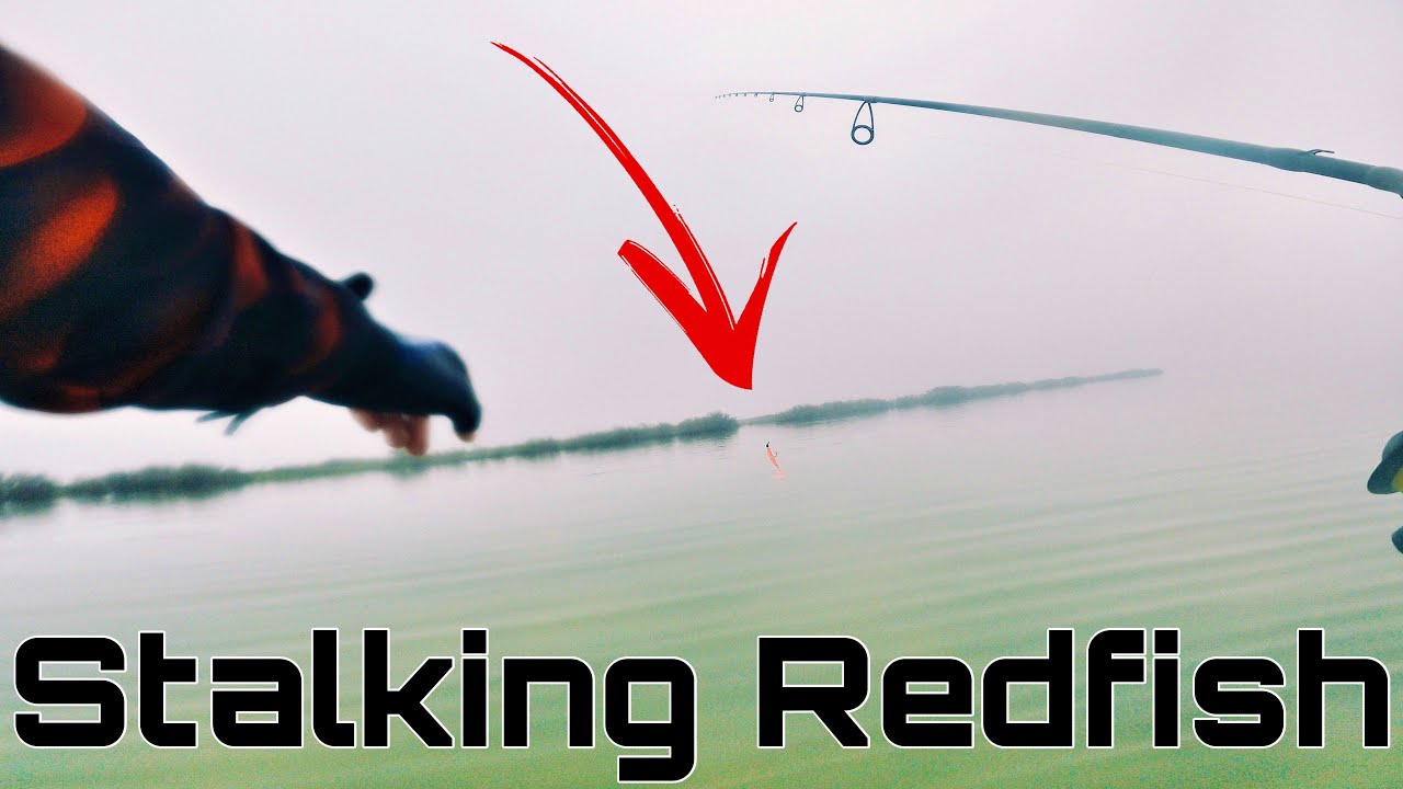 STALKING STX REDFISH!! Port Mansfield | Arroyo City | South Padre Island FISHING tips