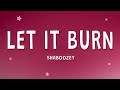 Shaboozey Let It Burn Lyrics mp3