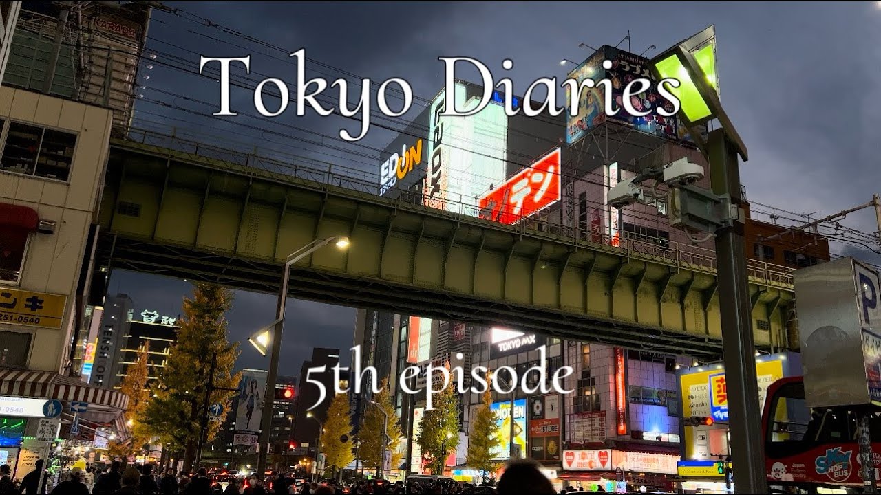 ✨Tokyo Diaries✨ - 5th and last ep - Tsukiji market, shopping in Ginza, last day in in Akihabara