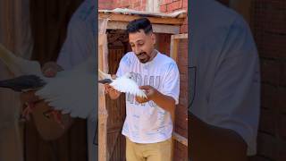 الغاوي عاشق للغيه😂