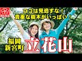 【福岡県新宮町の立花山】びっくり！新発見！感動の連発！重要天然記念物！世界遺産クラス？の樹木がいっぱい！