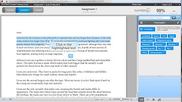 TurnItIn - Bubble comments