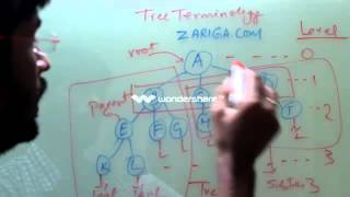 Learn Data Structure tutorial Tree Terminology