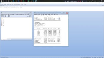 Tutorial running data on eviews with classical assumption test and how to interpret