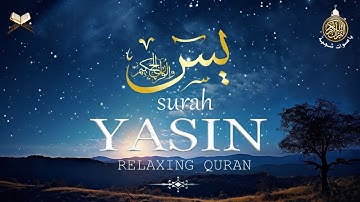 سورة يس كاملة 🌿✨ بصوت القارئ علاء ياسر 🎧 | تلاوة خاشعة تريح القلب 💖🕊️