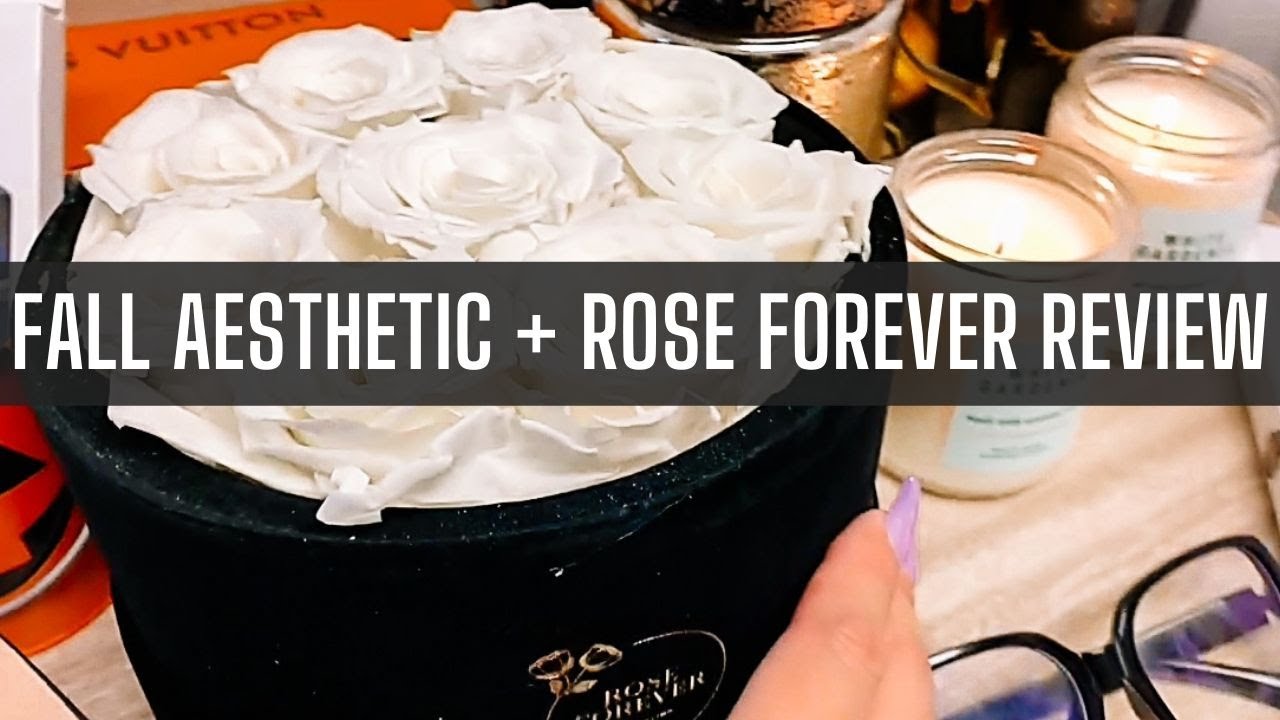 Rose Forever New York Review (Collab) Fall Aesthetic Decoration Board