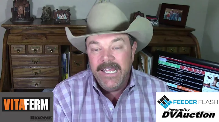 Feeder Flash 12/15:  Shut Gates for X-Mas