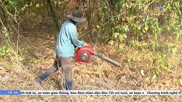 BR-VT tăng cường công tác quản lý, bảo vệ rừng | BRTgo