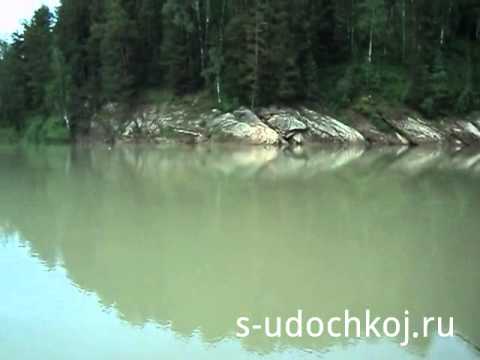 Река лебедь киев