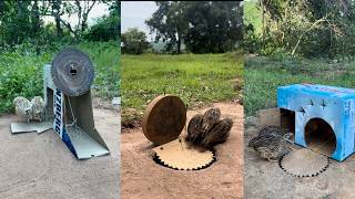 Easy Creative bird Trap | Beautiful Bird Trap #birdtrap #camping #survival #bushcraft