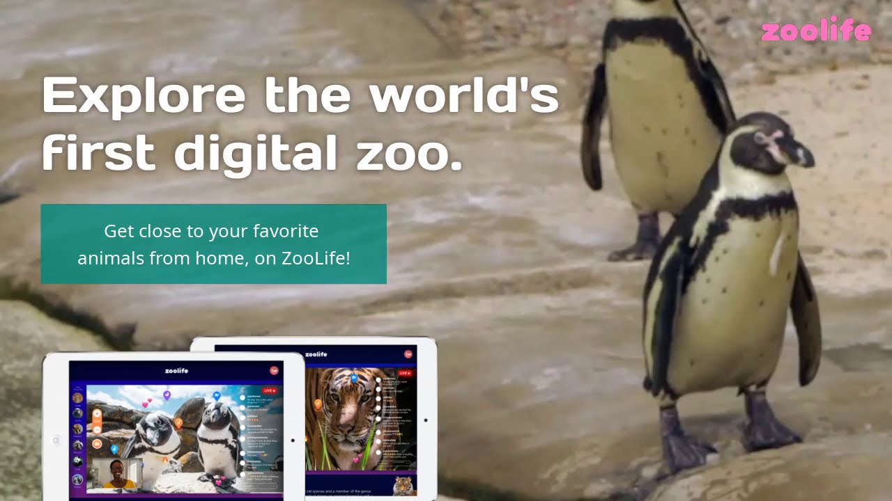 Zoolife, explore the world's first digital zoo!