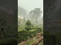 Misty Morning Magic At Swat Haven Resort ⛵ #rain #weather #shorts