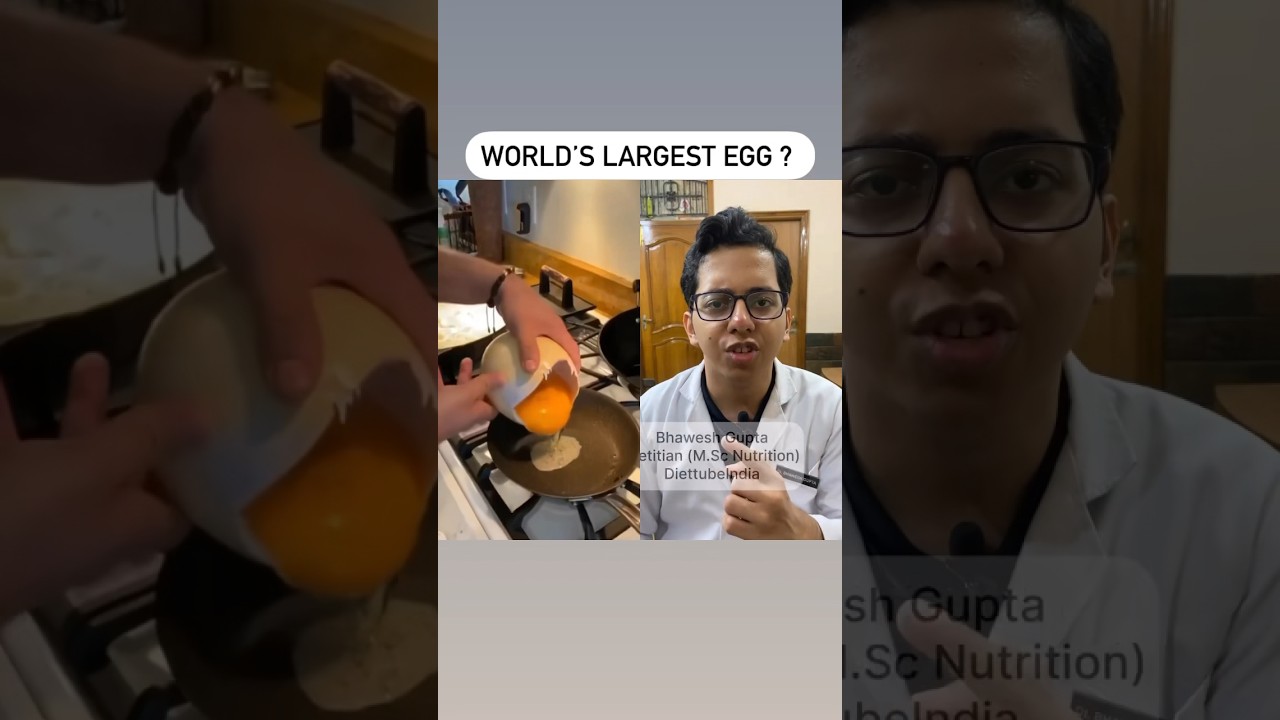 World’s Largest Egg ? | Dt.Bhawesh | #diettubeindia #dietitian #protein #shorts
