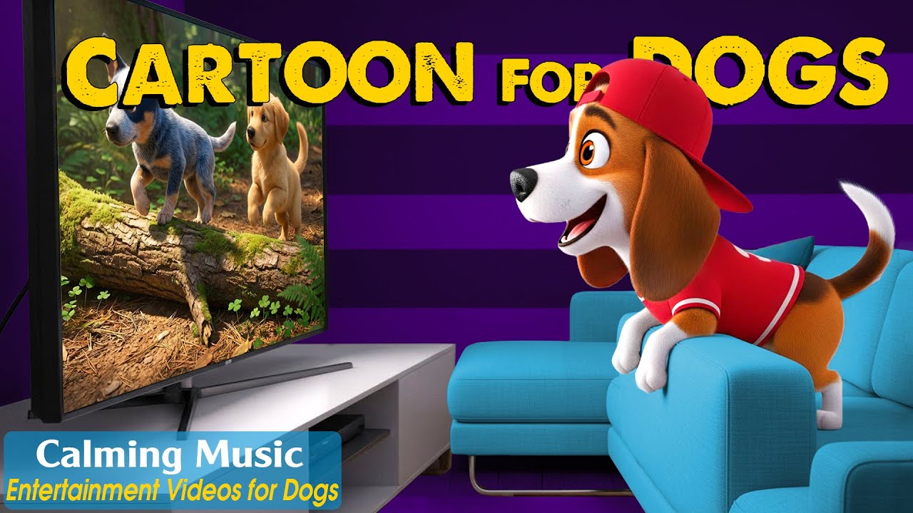 Dog Cartoon: Relaxing Dog TV to Keep Your Dog Calm When Home Alone🐶Best Anti-Anxiety Music for Dogs