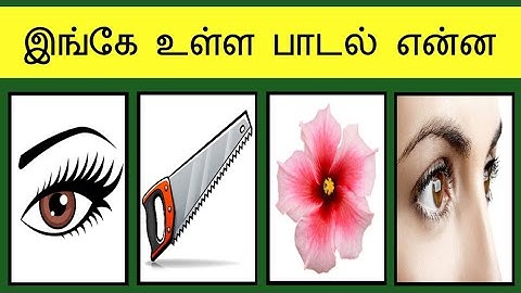 Logical riddles 30 | Tamil riddles | Detective riddles | Picture puzzles | Nimmi riddles