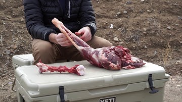 How to debone a hind quarter- Advanced Backcountry Butchering Techniques