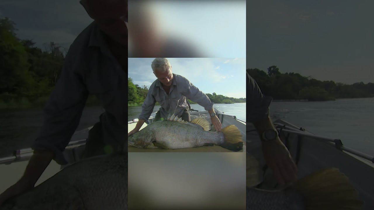 Jeremy Wade (aka River Monsters host) first 'trial' catch in