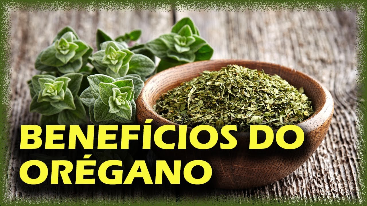 🌿Os Incríveis Benefícios do Orégano para a Saúde🌿 - YouTube