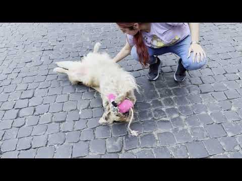 Play video