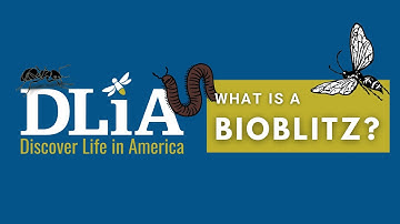 What is a Bioblitz?