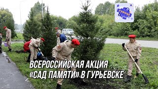 Всероссийская акция &quot;Сад памяти&quot; в Гурьевске