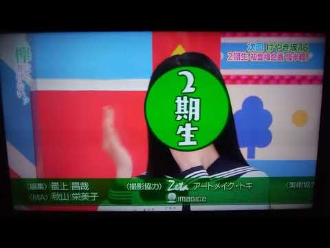 欅って書けない次回の予告