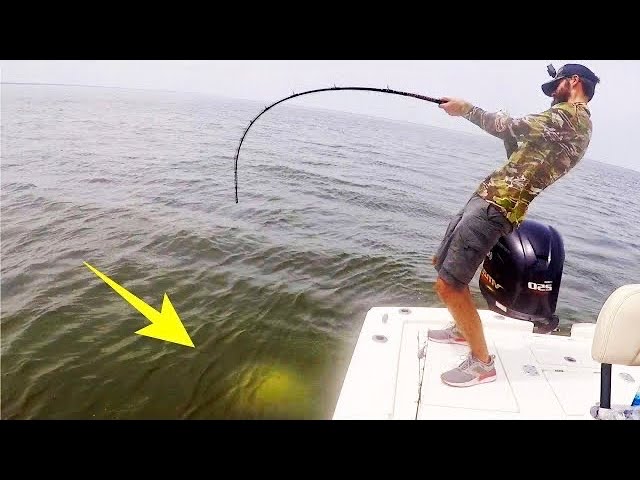 aftco fishing lures Blue Fever Swimmer Lure / Blue Mack / 43g, 115mm Other Species Weighted perfectly for long Size:TTU300HSL Flycraft Stealth X &