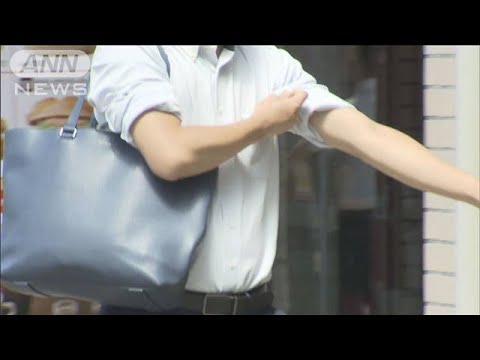 Japanese video