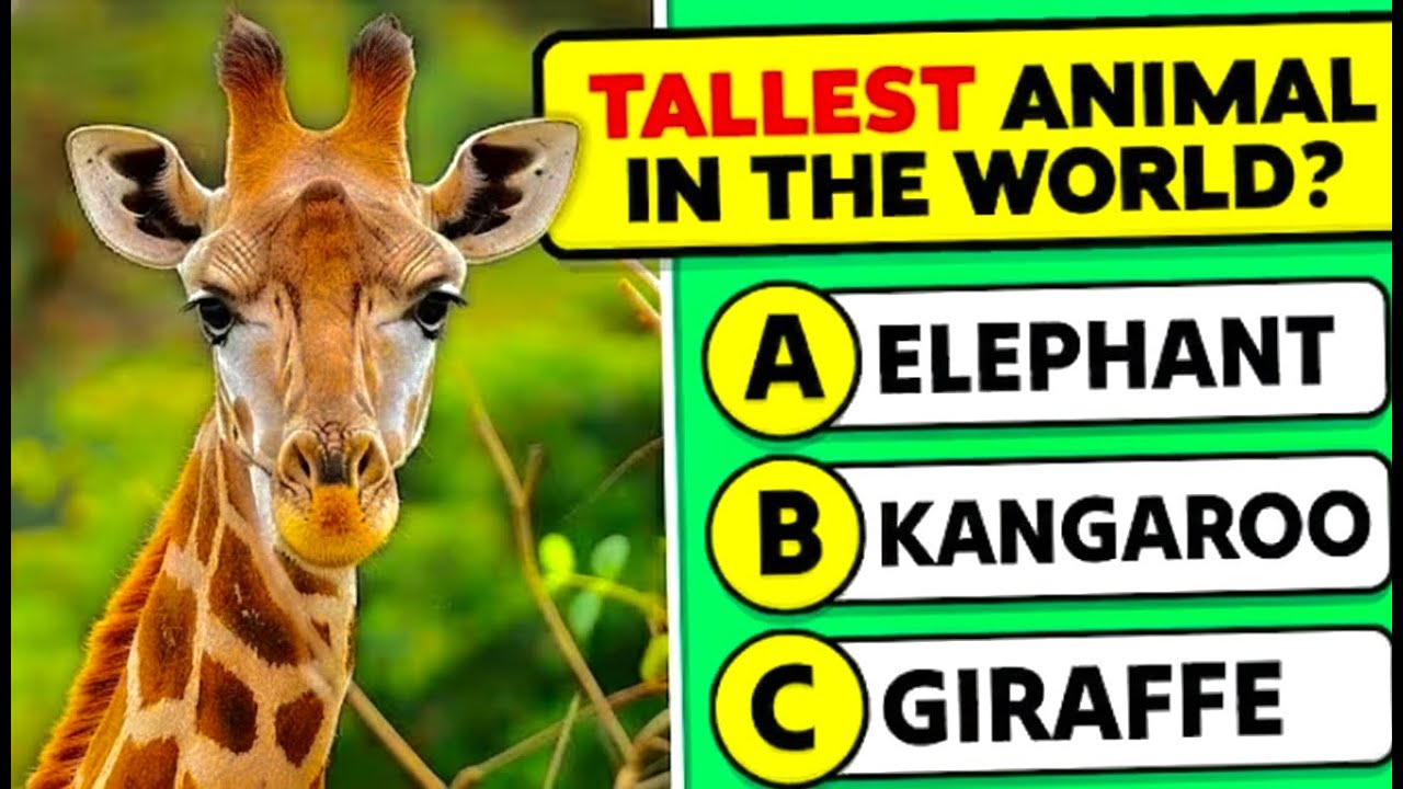 Guess the Animal by Emoji 🐯🐘 | Fun Animal Quiz Challenge