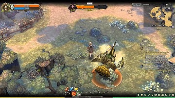 Tree of Savior CBT: Wizard Vs Chafer