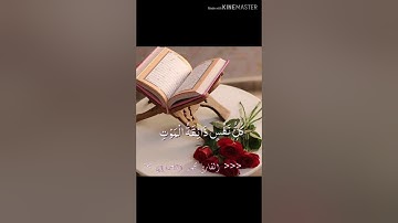 حالات واتس اب دينية سورة آل عمران 💓 كْلِ نَفُسٍ ذَاقَةُ المَوُتِ