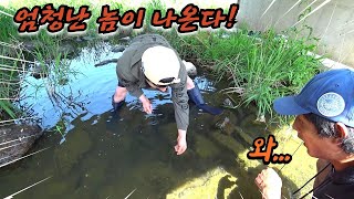 돌 틈 말지렁이 미끼를 넣었더니!! 값 비싼 최고급 어종이 덥썩!