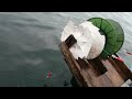 squid jigging