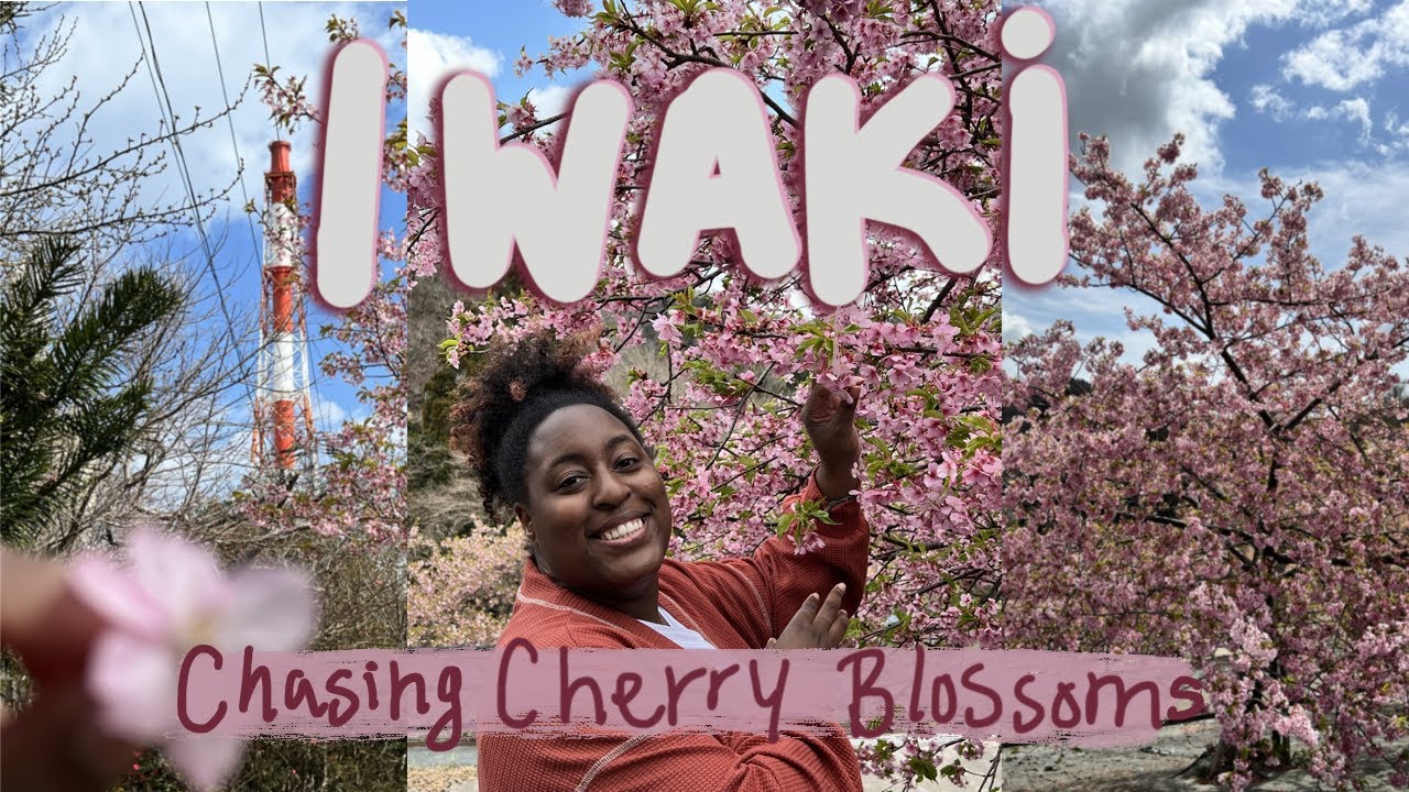 Cherry Blossom Hunting in JAPAN | FUKUSHIMA | 